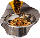 Ração Premium para Cães